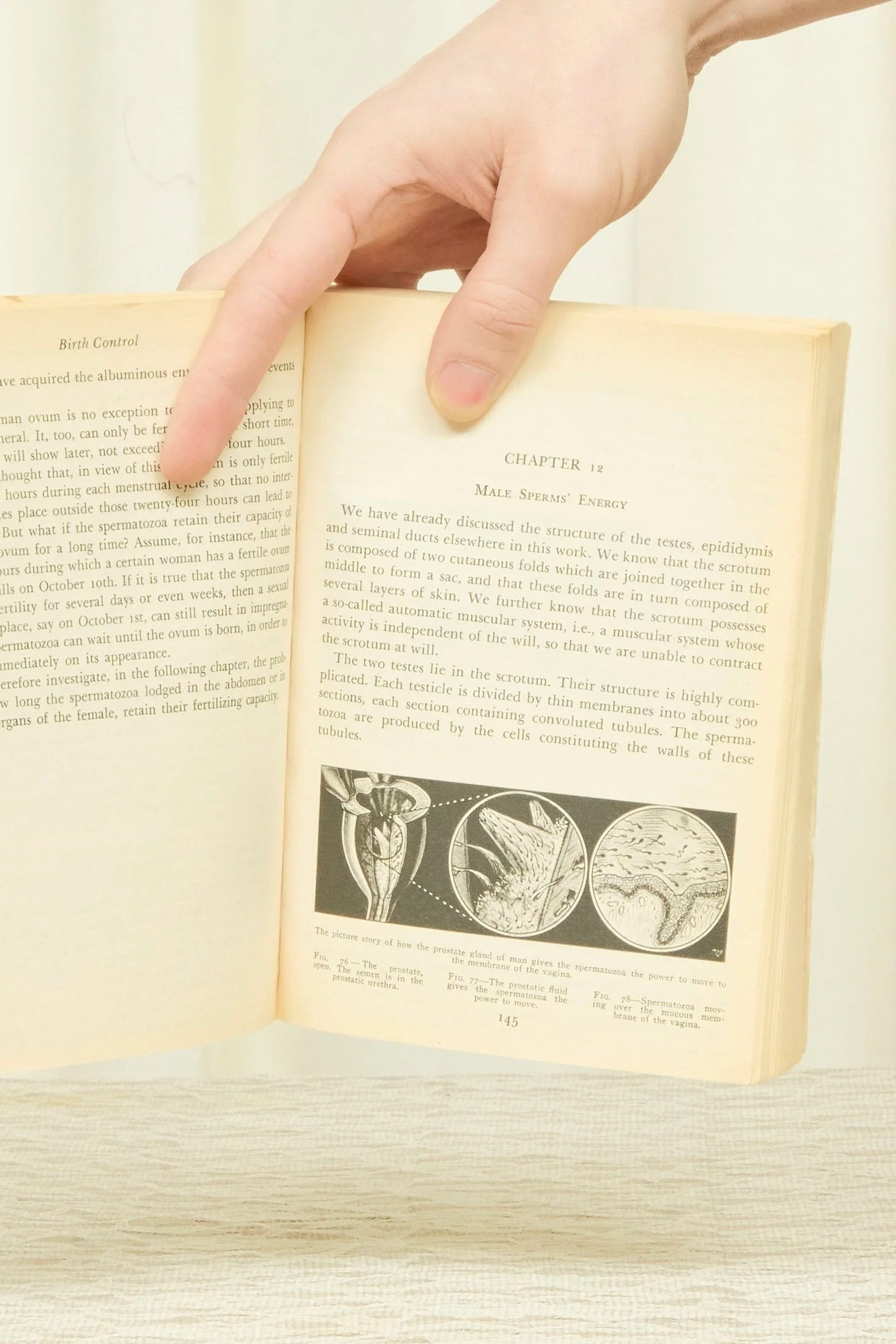Vintage "The Illustrated Encyclopedia of Sex" (1989)