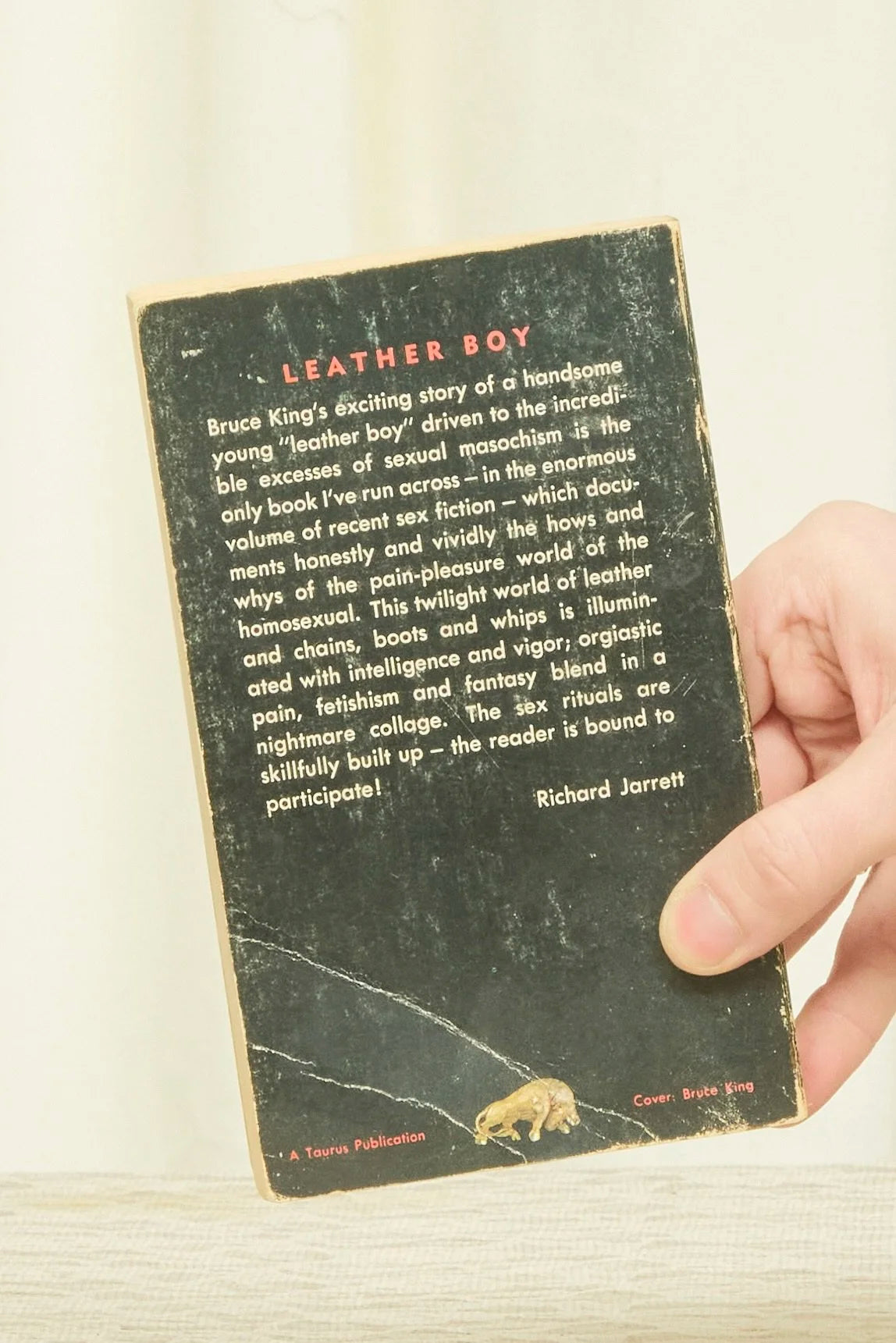 Vintage "Leather Boy" Book (1969)