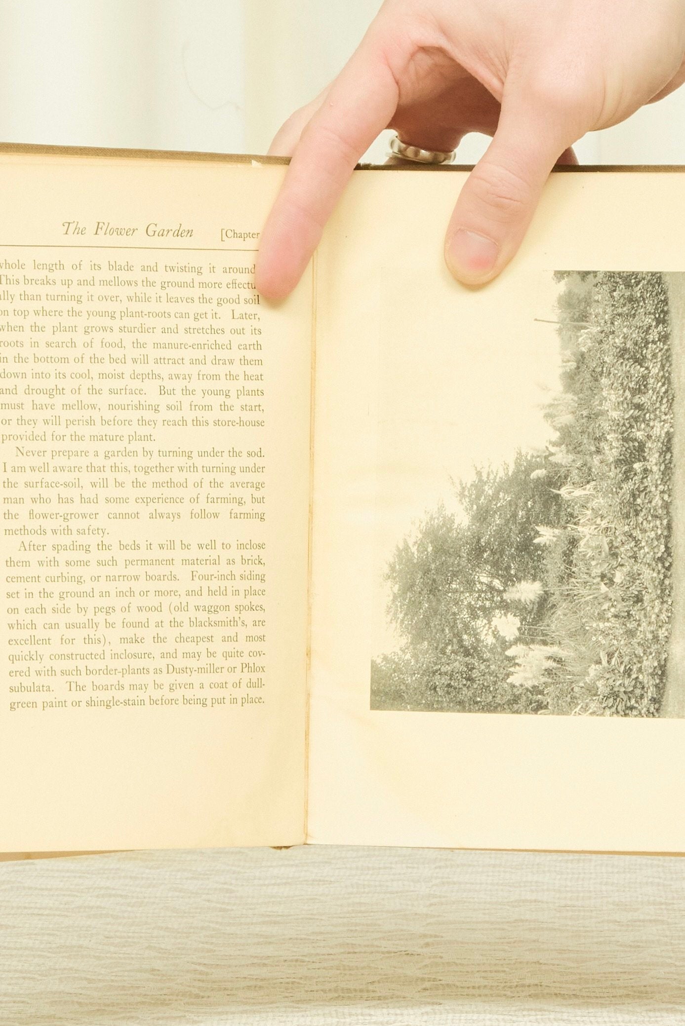 Antique "A Handbook of Practical Garden Lore" Book (1903)