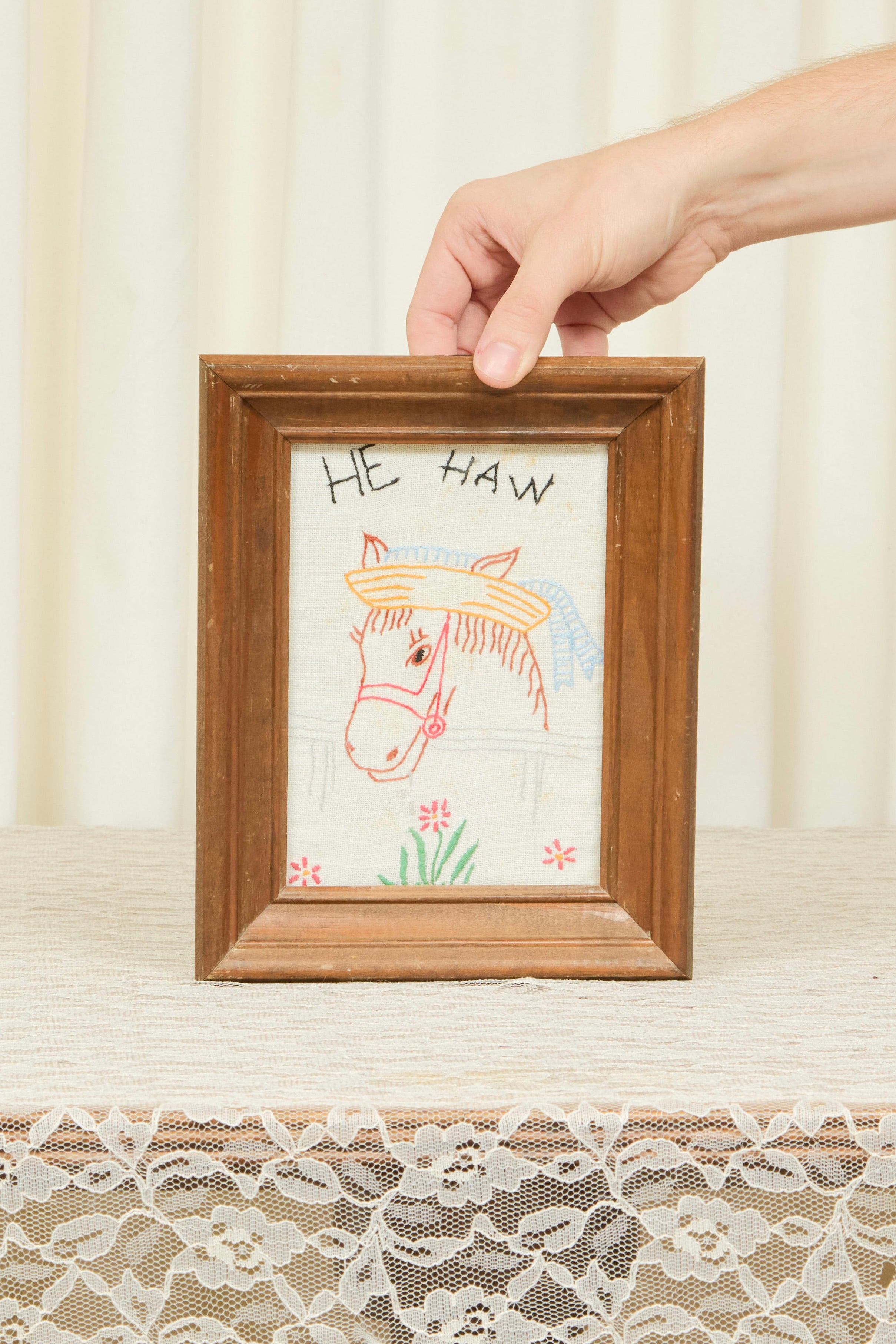 Vintage "He Haw" Framed Embroidery