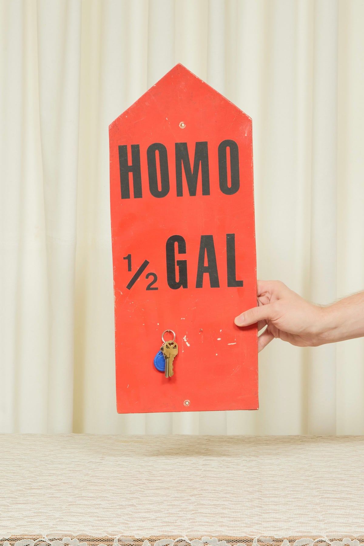 Vintage "Homo 1/2 Gal" Sign