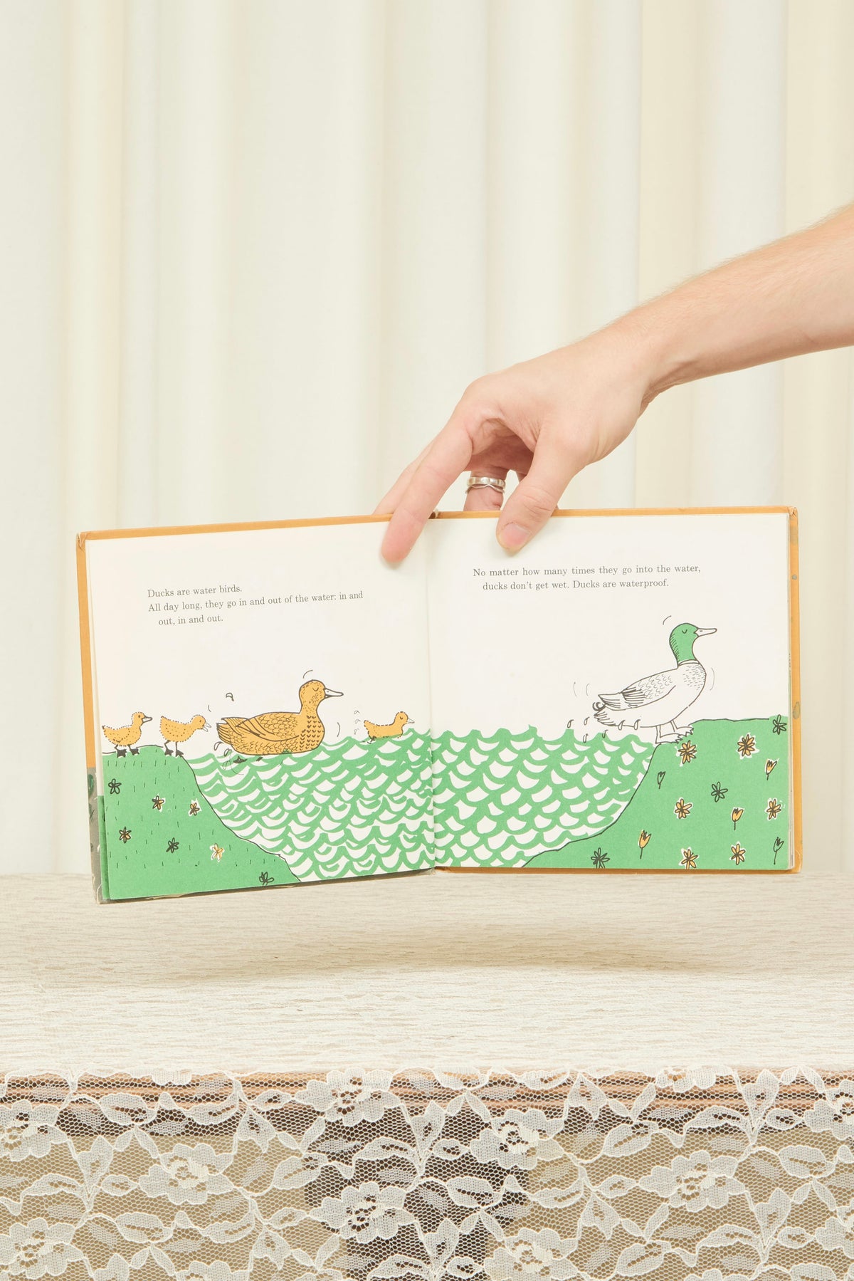 Vintage "Ducks Don't Get Wet" Book (1965)