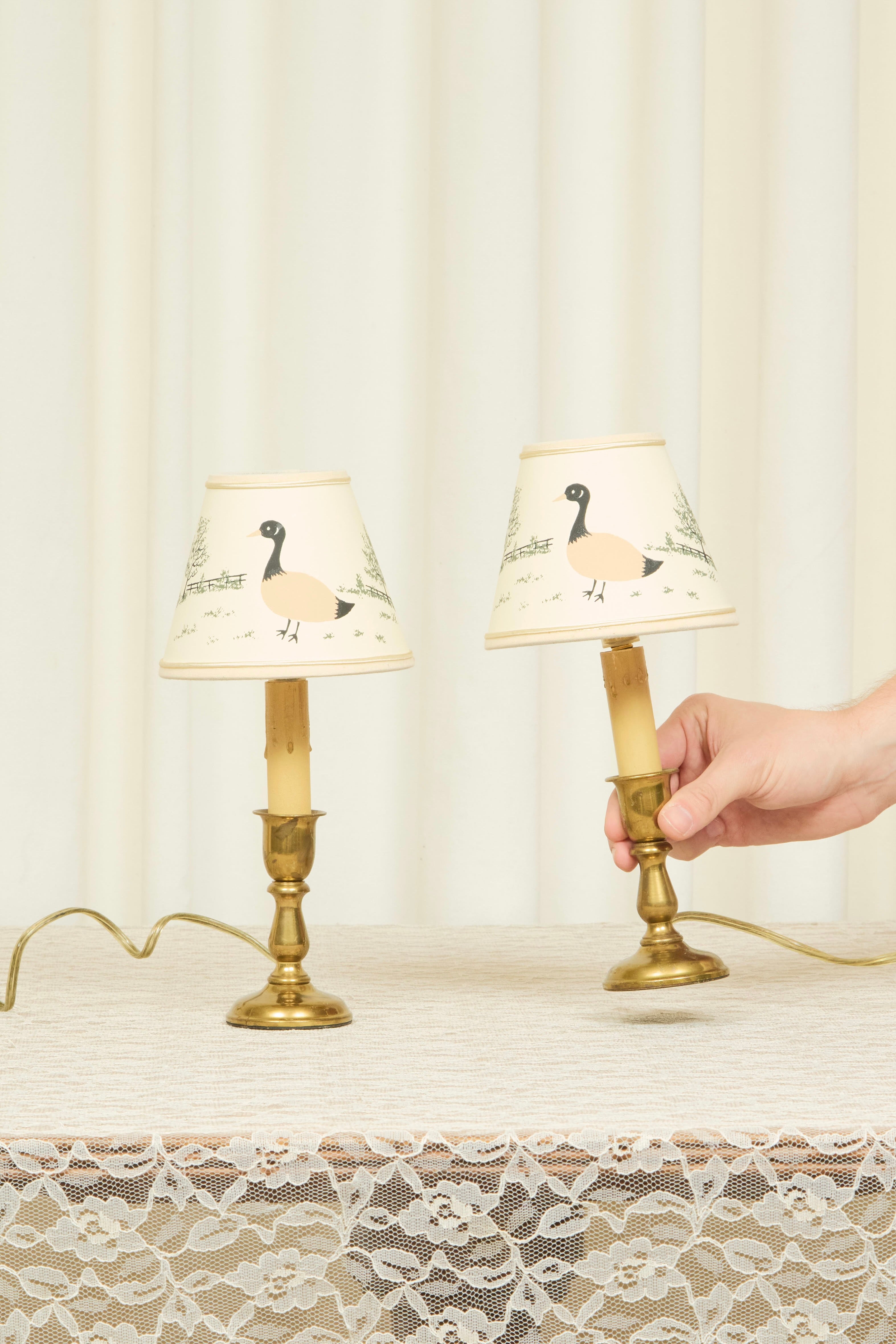 Vintage Brass Lamps w/ Goose Shades Set/2