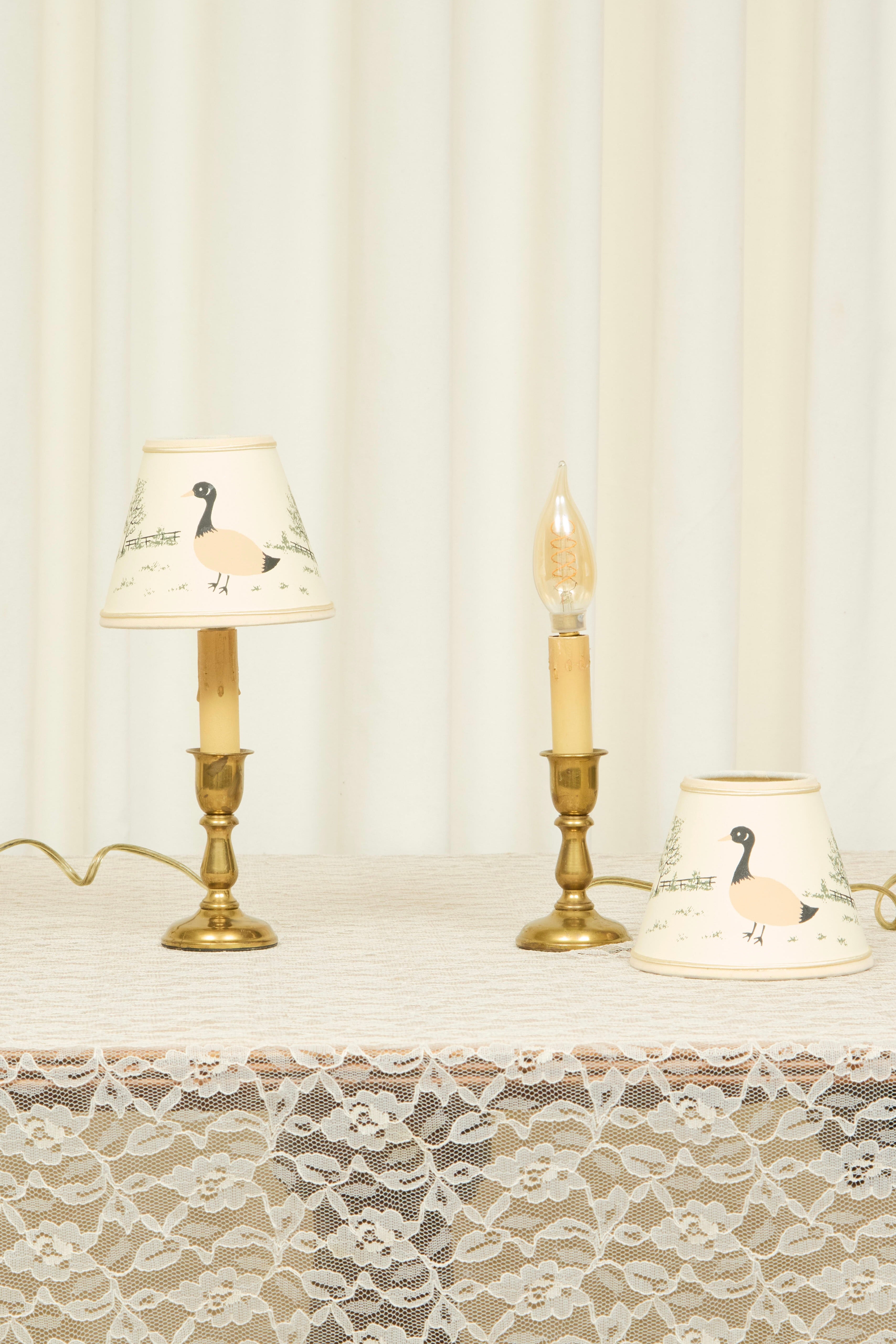 Vintage Brass Lamps w/ Goose Shades Set/2