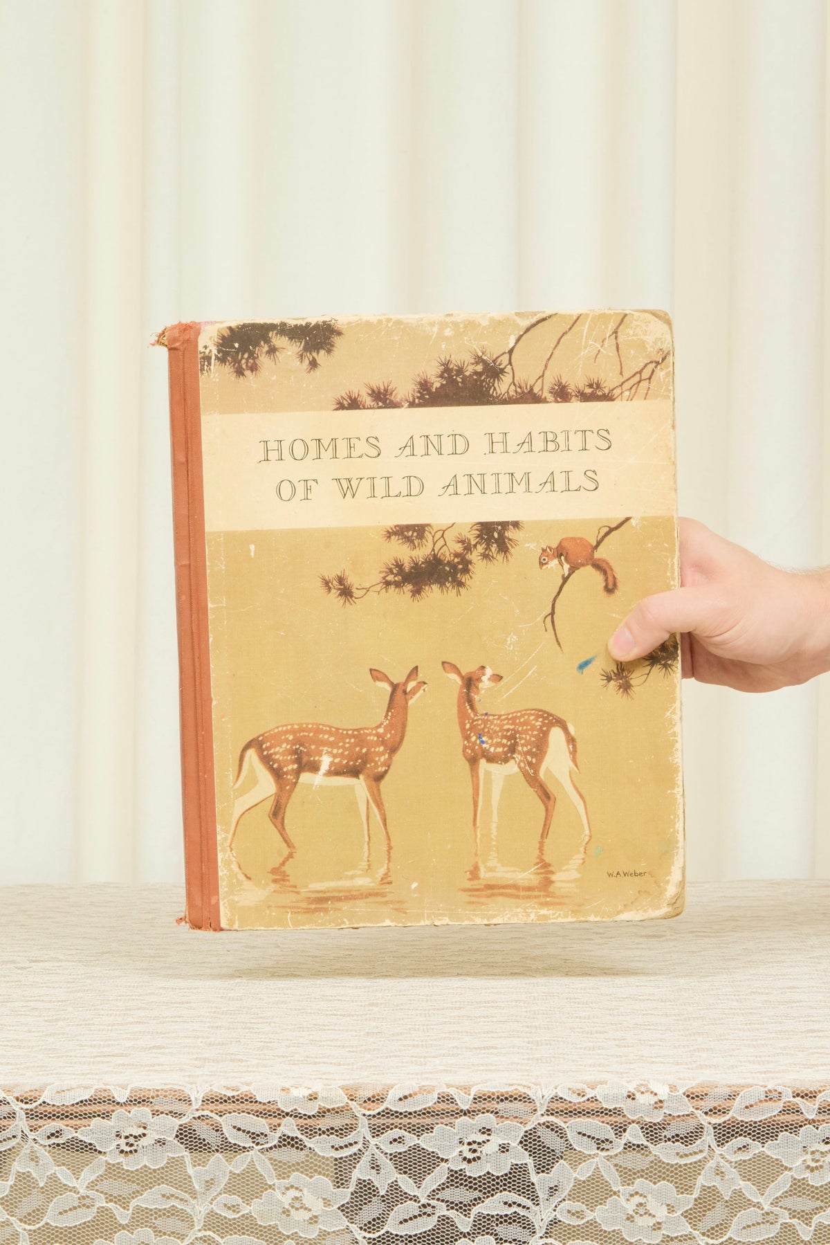 Vintage "Wild Animals" Book (1934)
