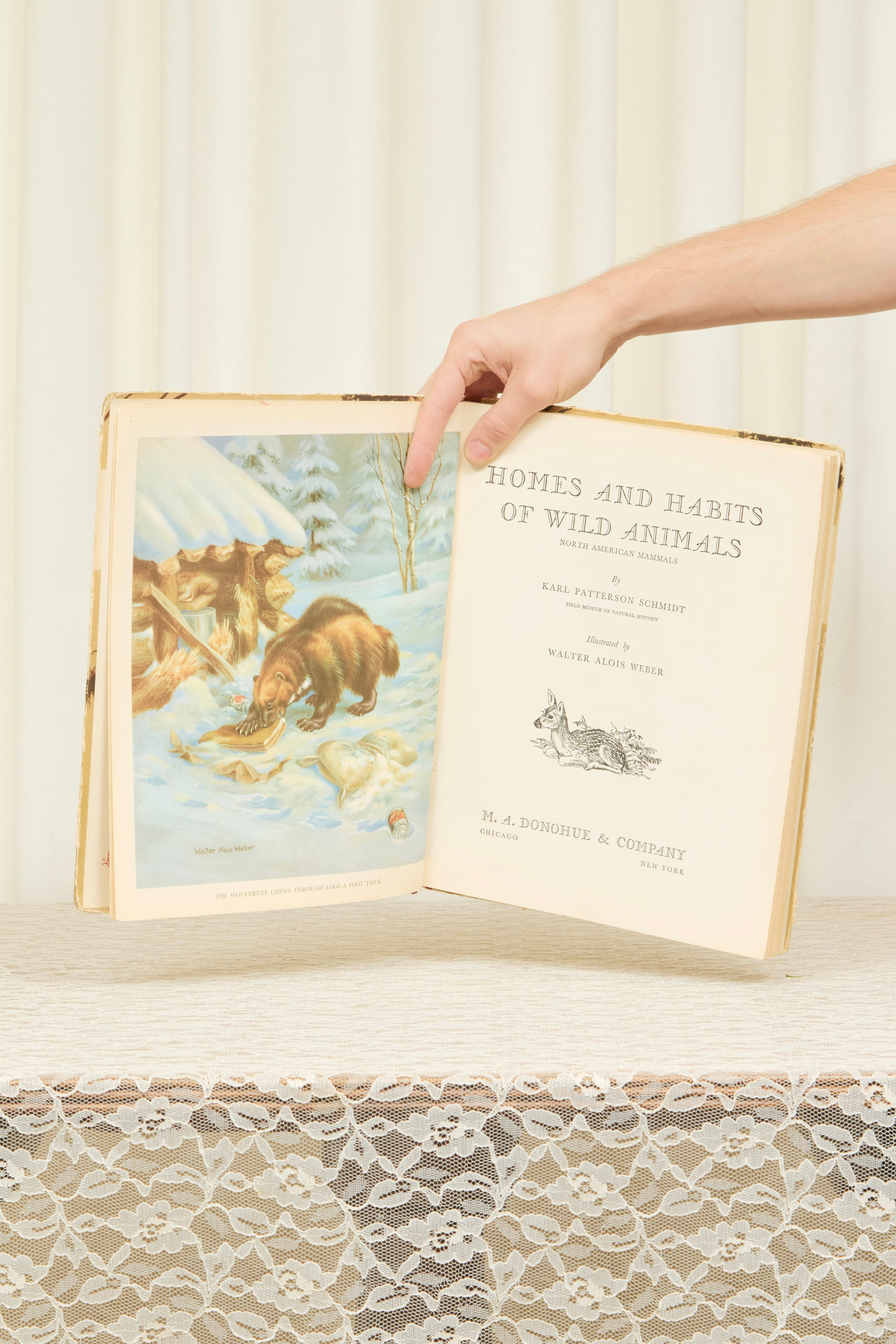 Vintage "Wild Animals" Book (1934)