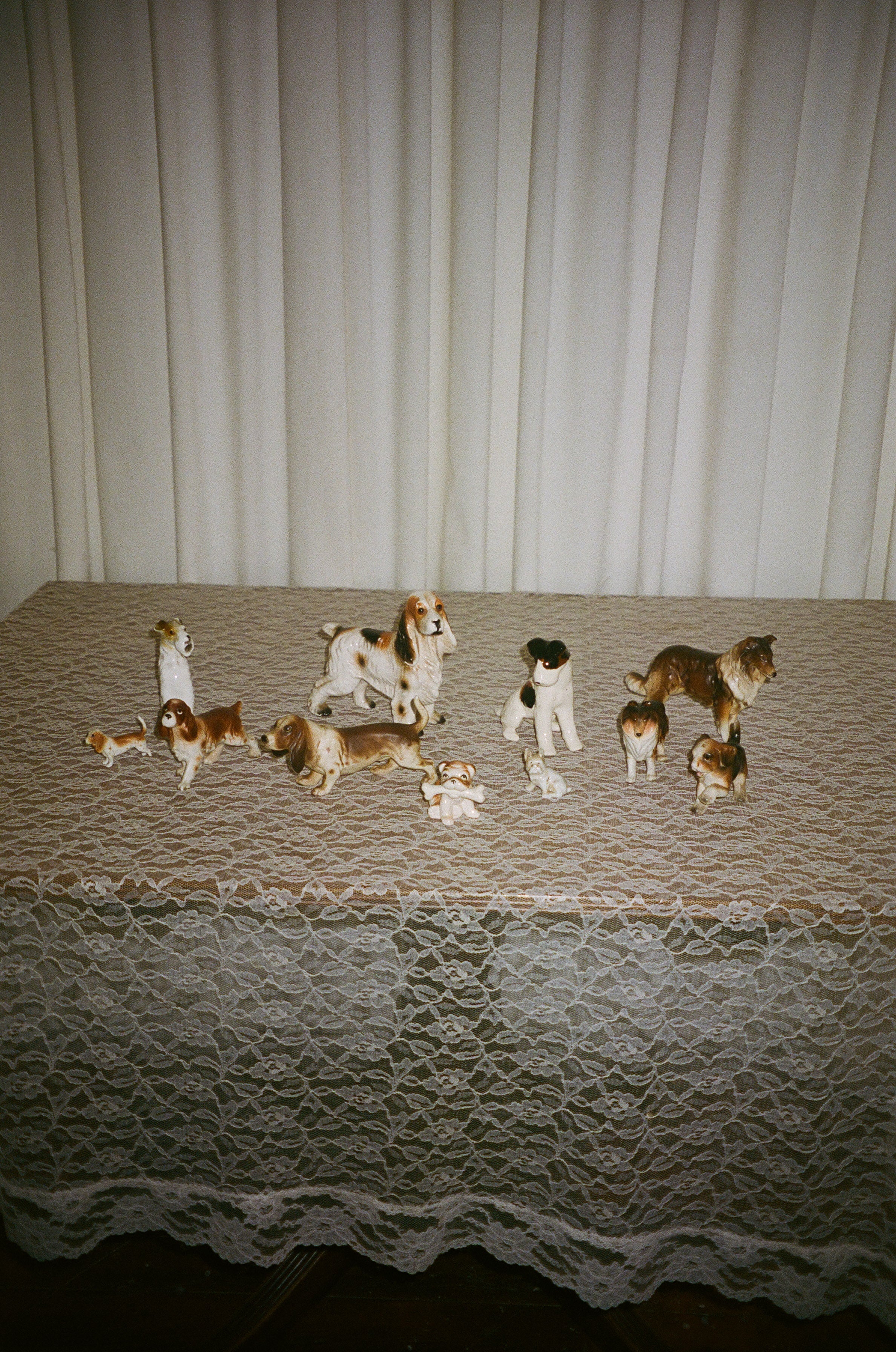 Vintage Dog Instant Collection Set/11