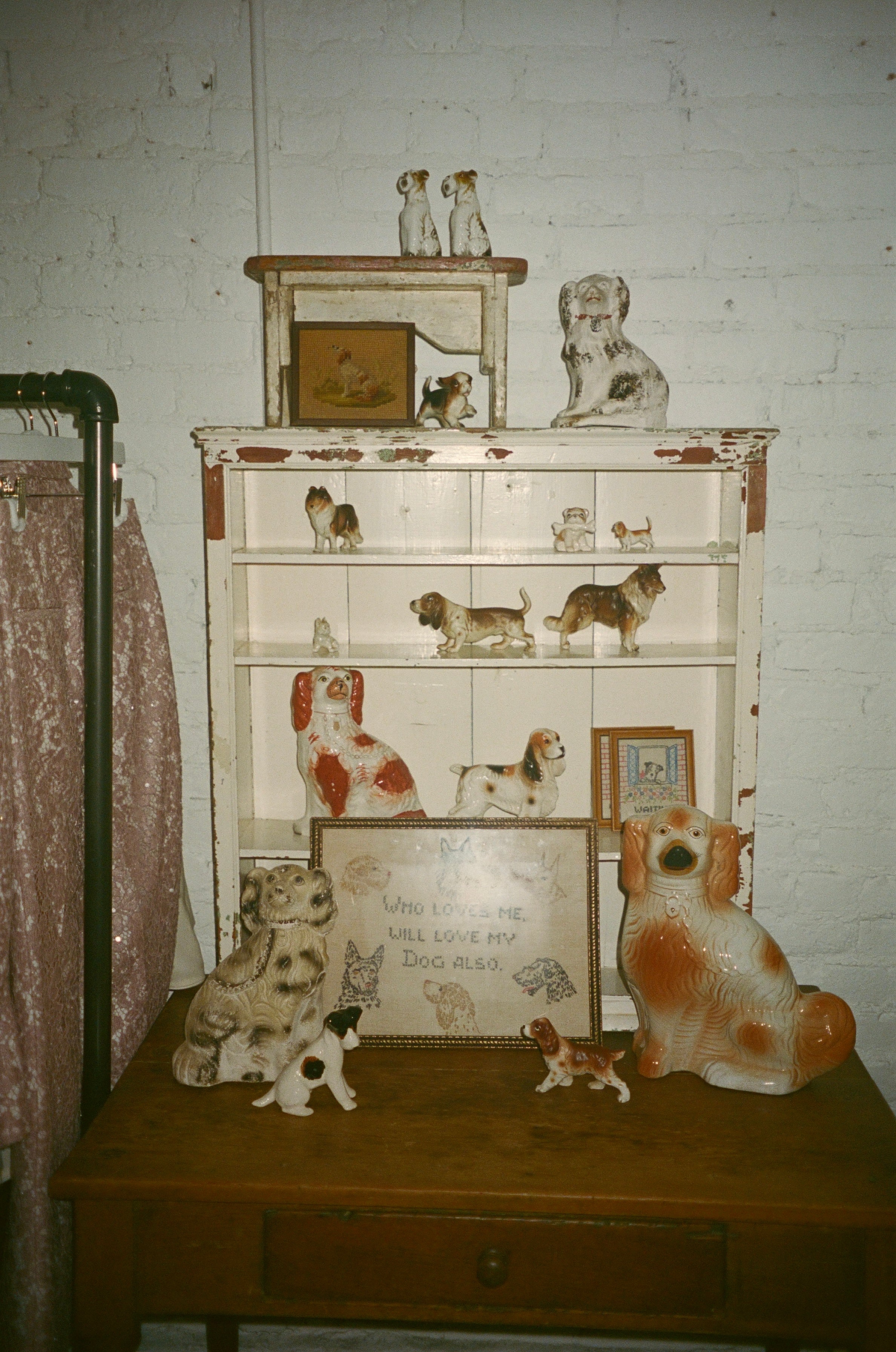 Vintage Dog Instant Collection Set/11