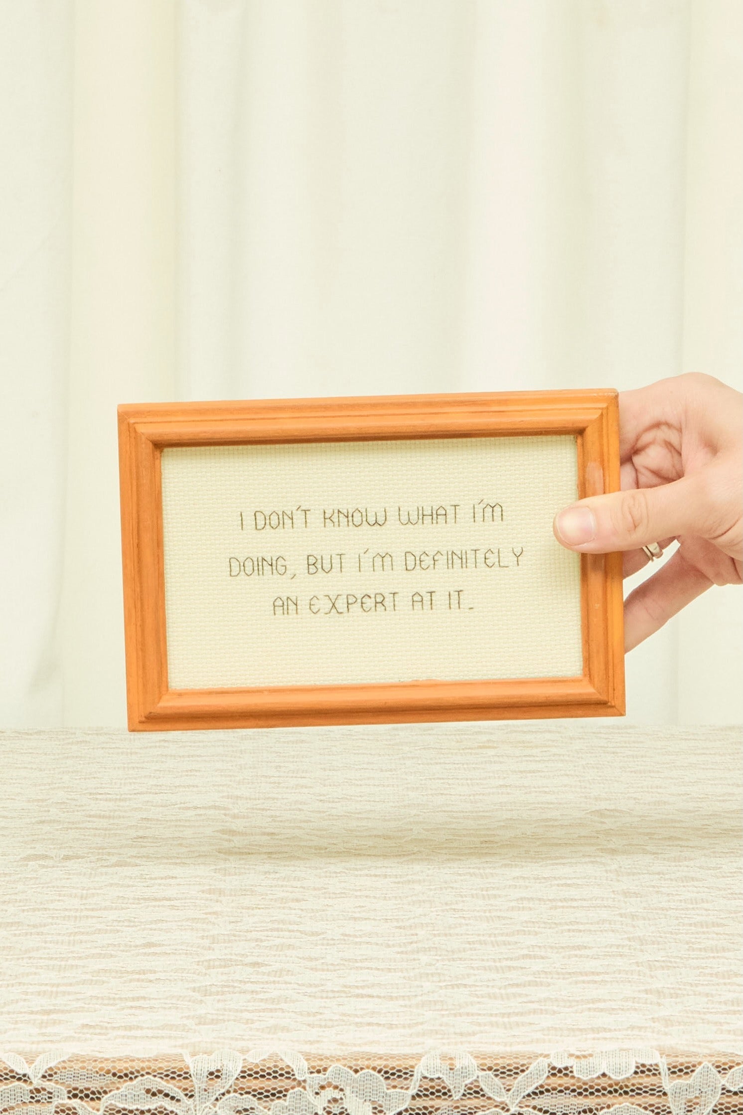 Vintage "Definetely an Expert" Framed Cross Stitch