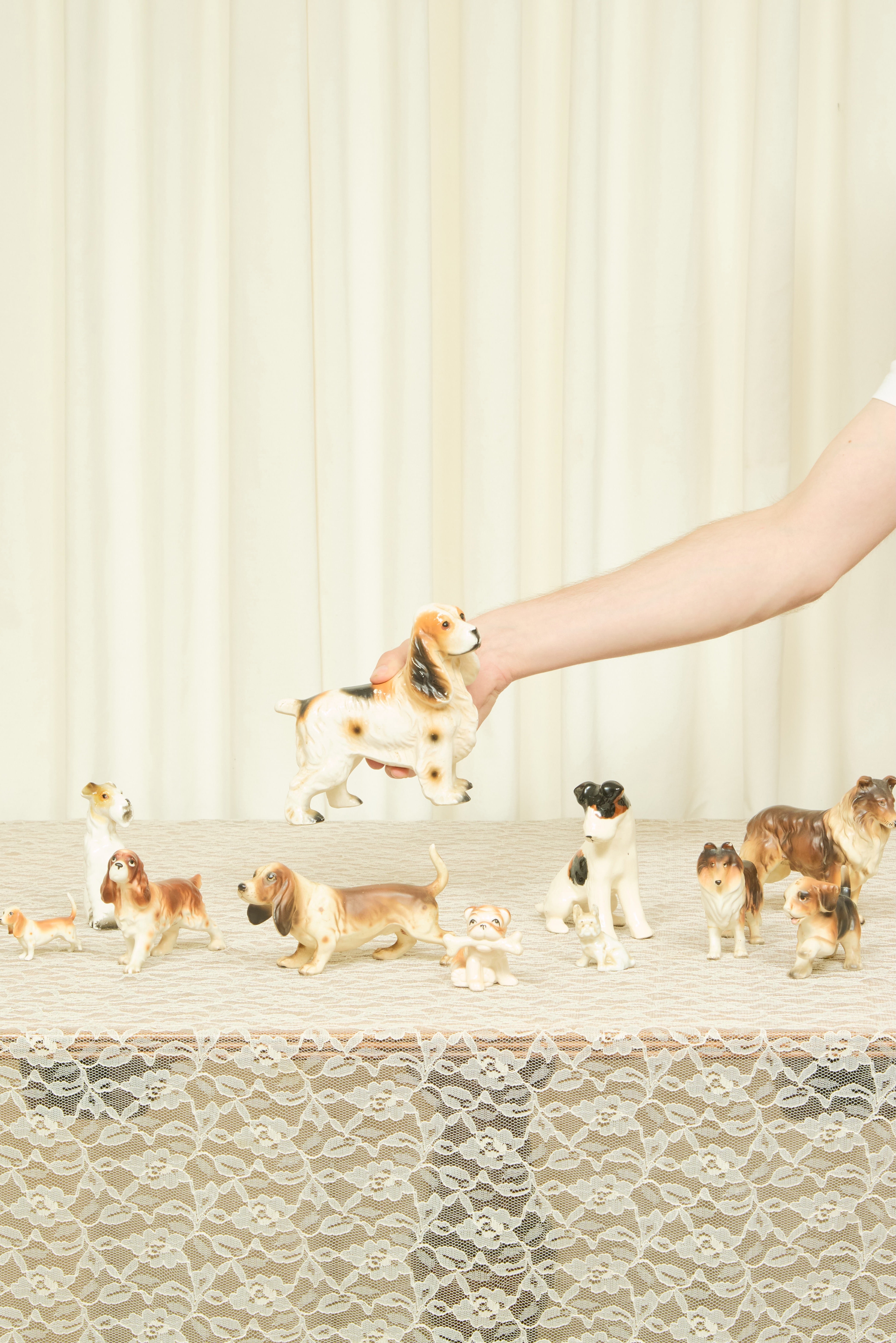 Vintage Dog Instant Collection Set/11