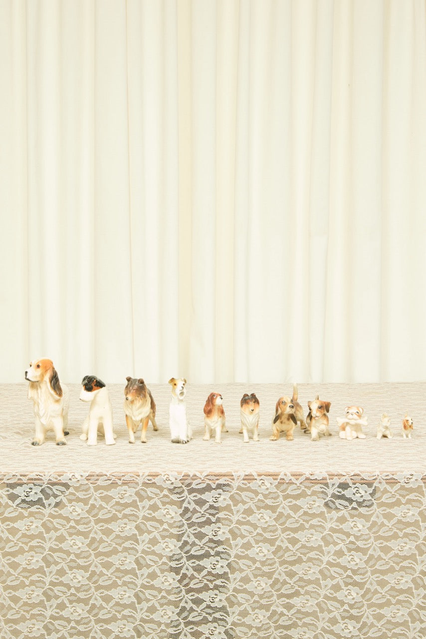 Vintage Dog Instant Collection Set/11