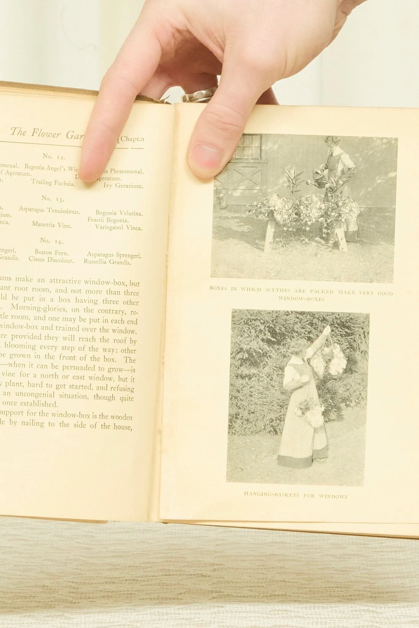 Antique "A Handbook of Practical Garden Lore" Book (1903)