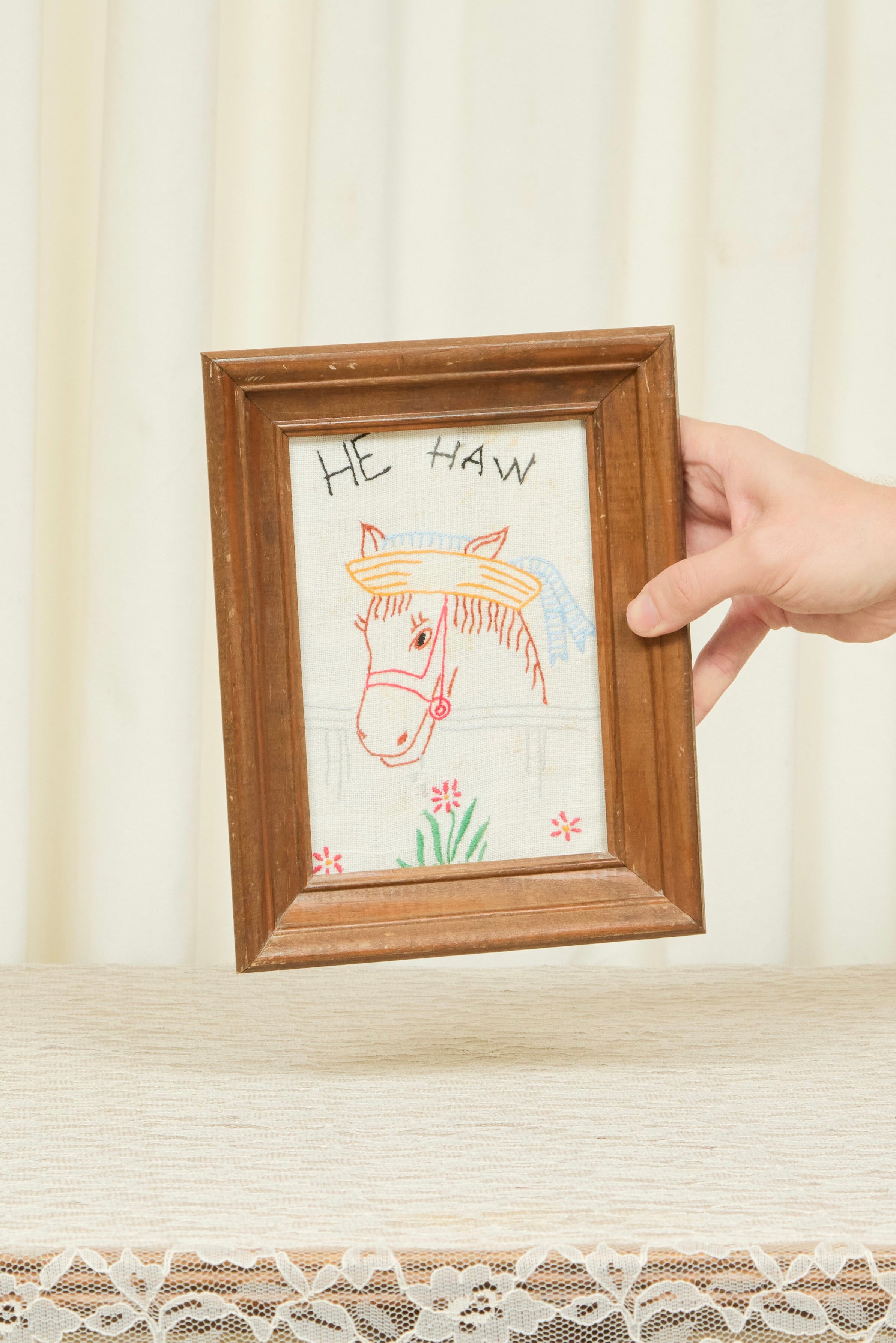 Vintage "He Haw" Framed Embroidery