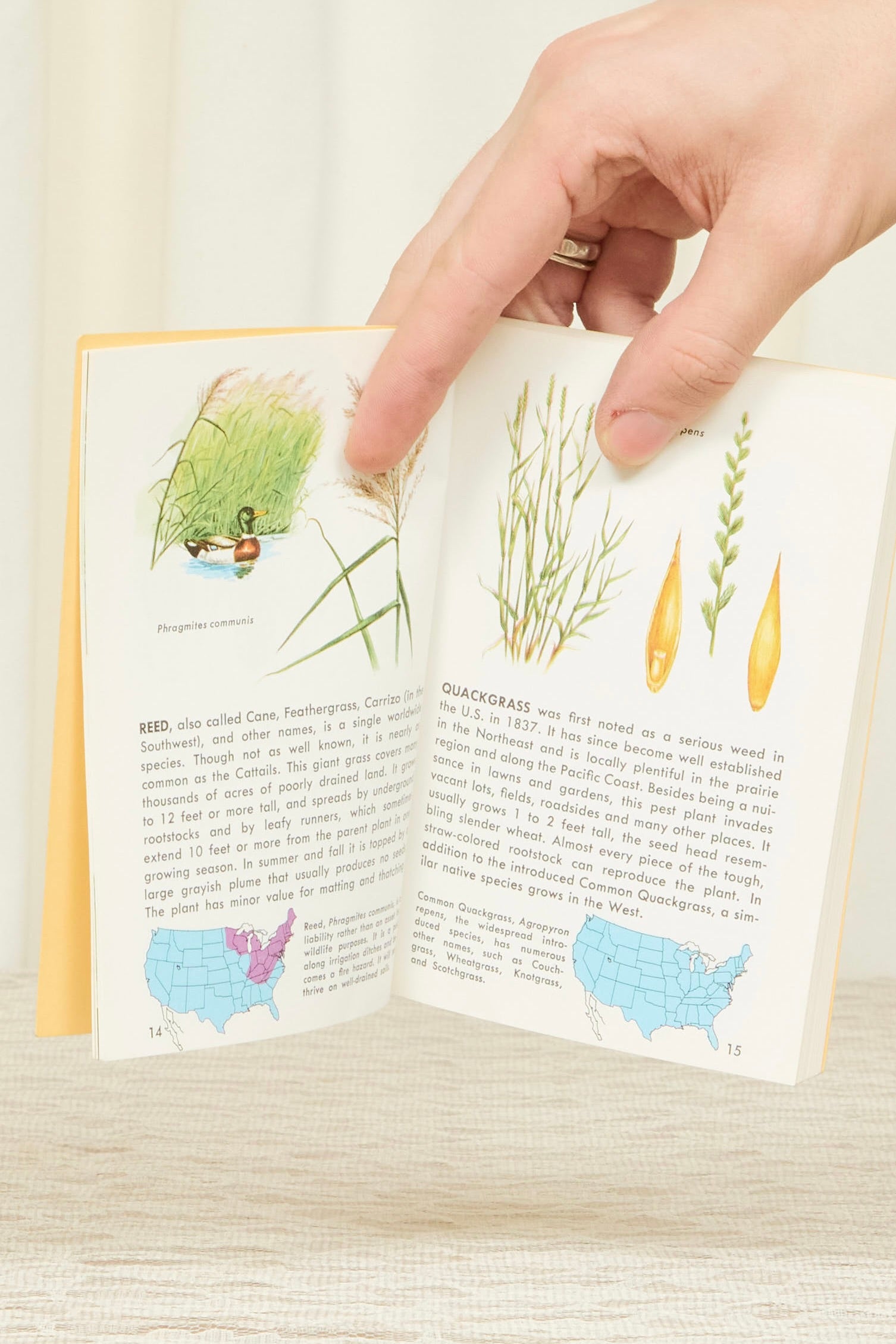 Vintage "Weeds" Book (1987)