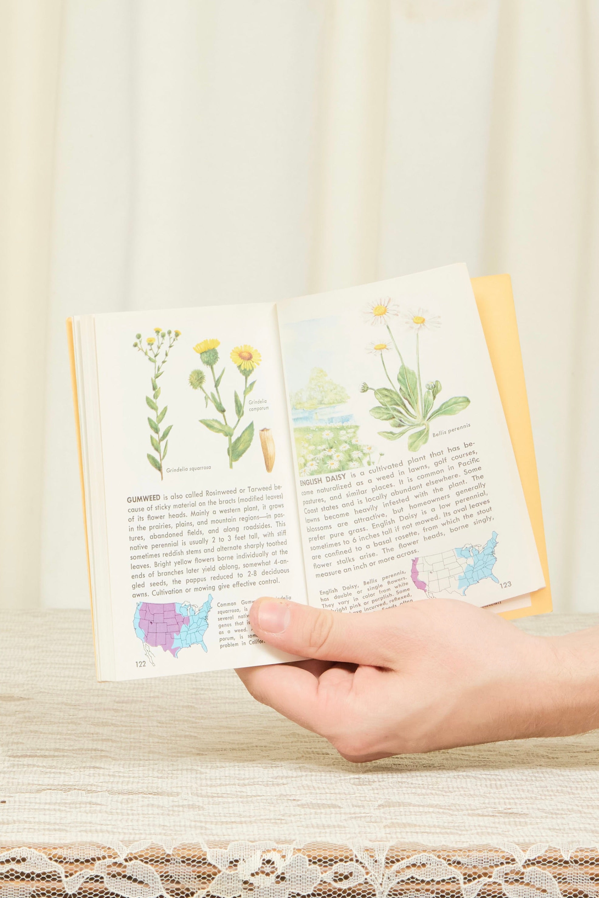 Vintage "Weeds" Book (1987)