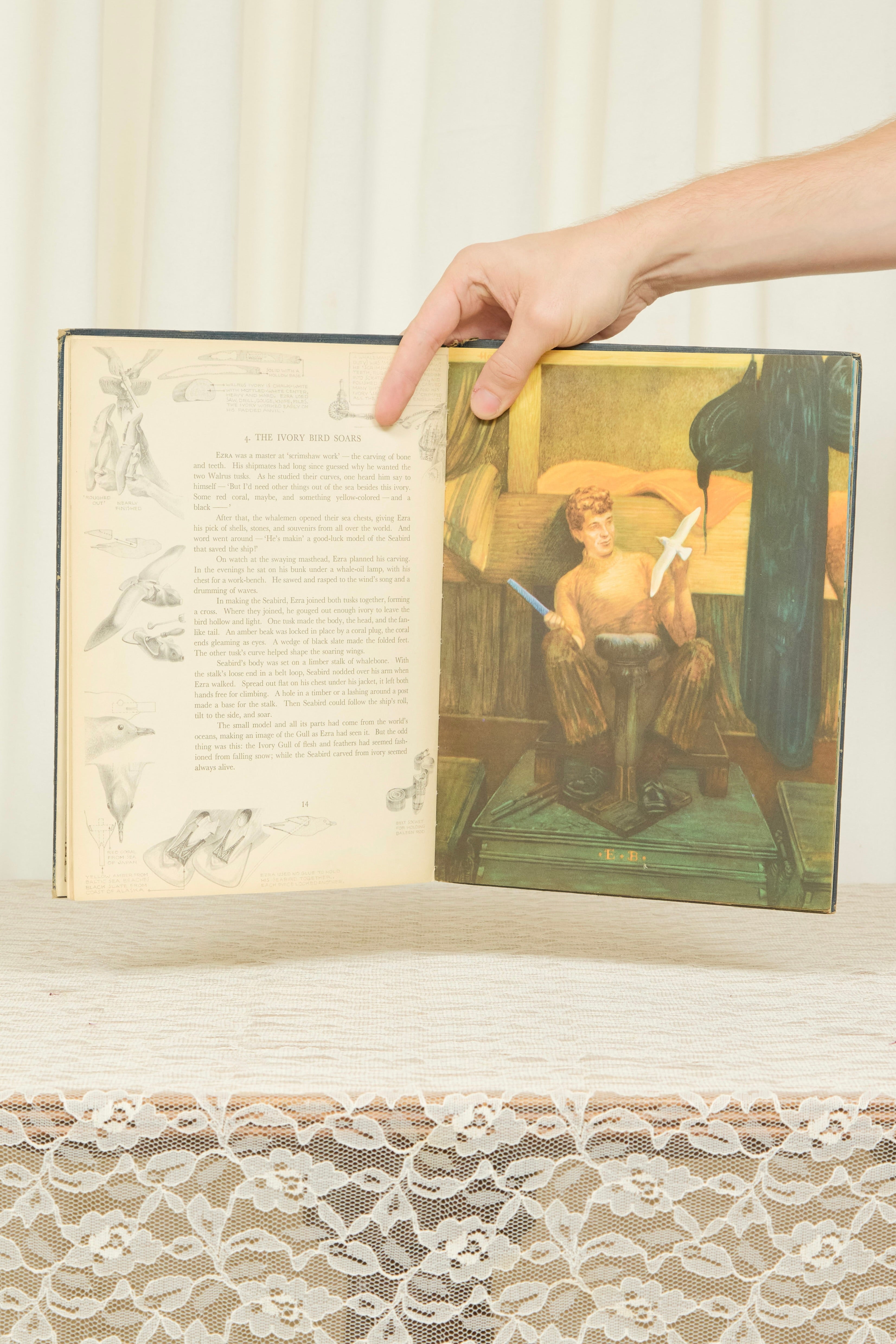 Vintage "Seabird" Book (1948)