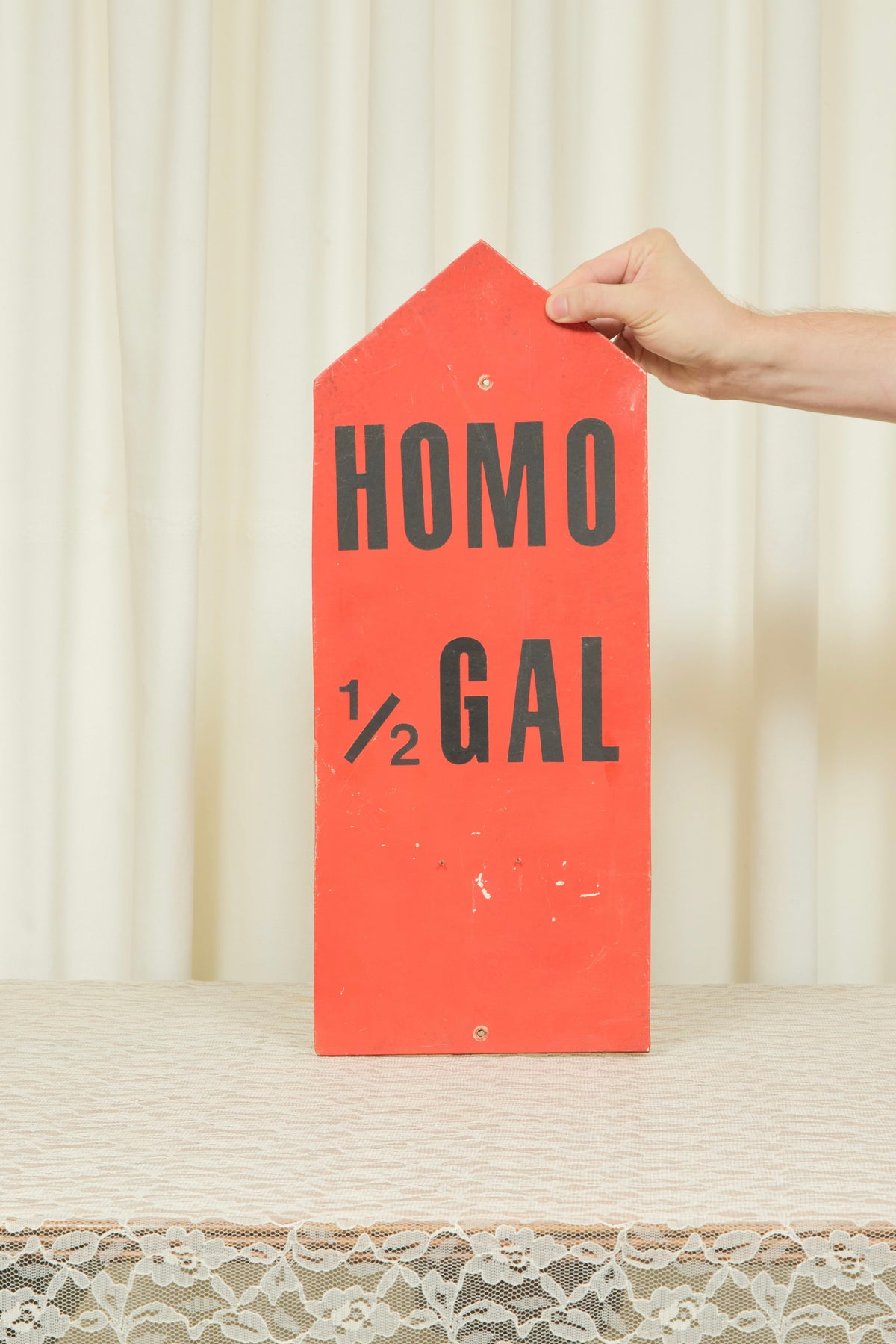 Vintage "Homo 1/2 Gal" Sign