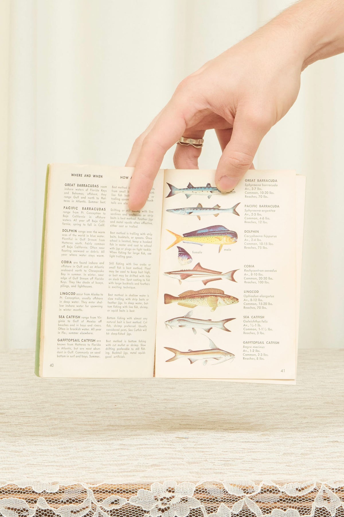 Vintage Fishing Guide Book (1965)