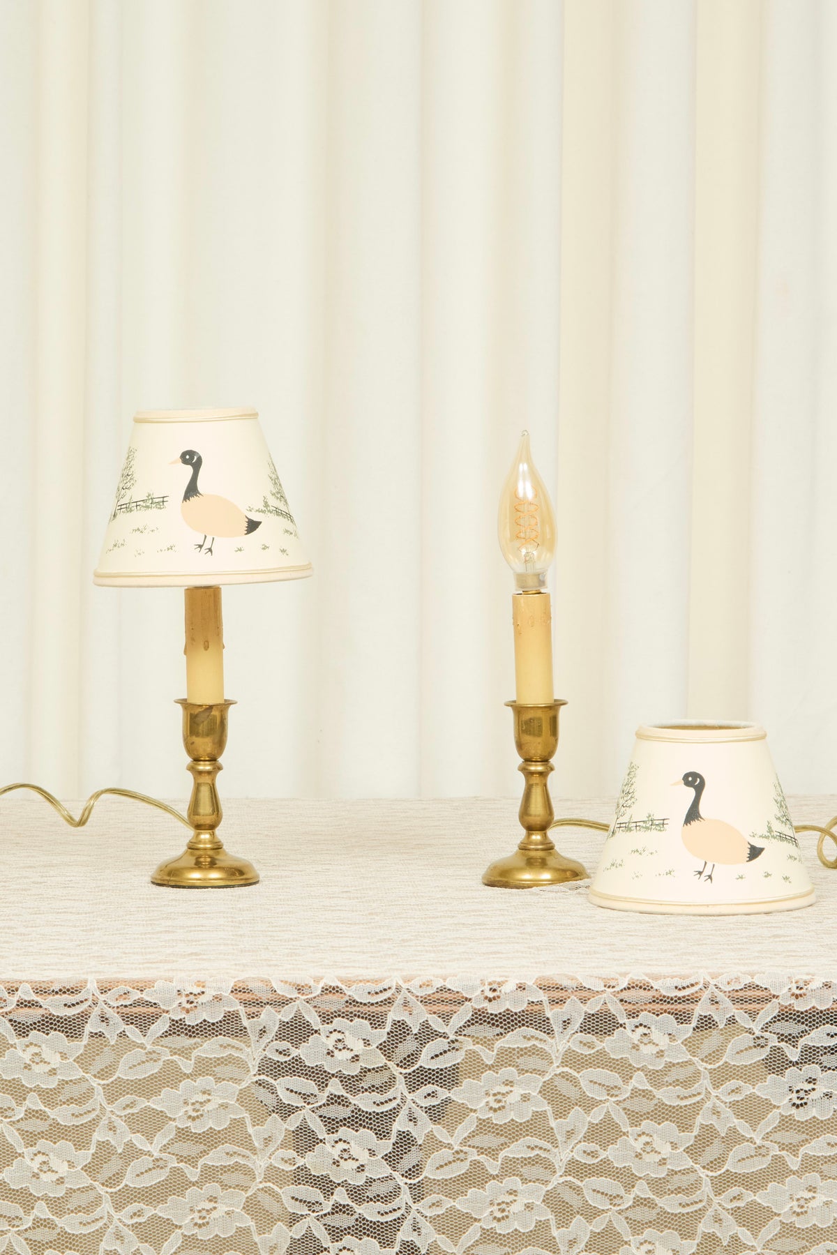 Vintage Brass Lamps w/ Goose Shades Set/2