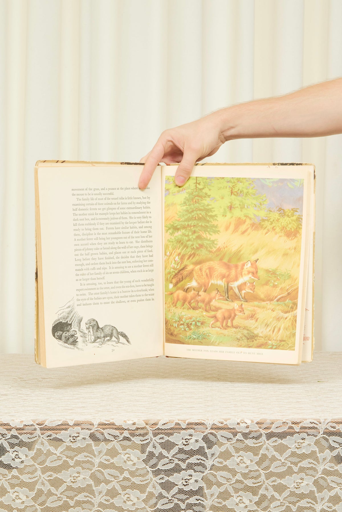 Vintage "Wild Animals" Book (1934)