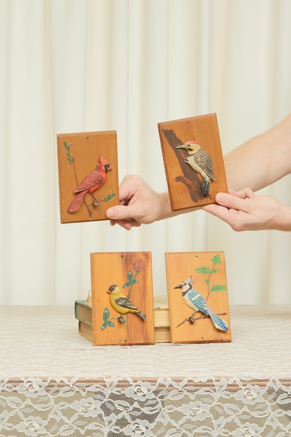 Vintage Wooden Bird Plaques Set/4