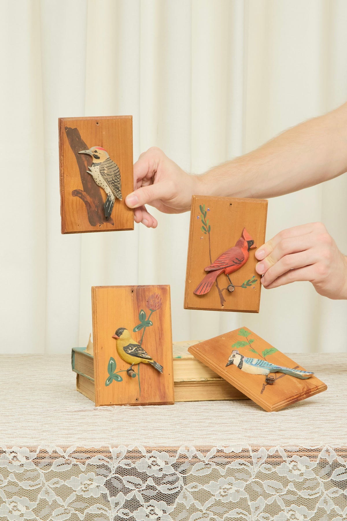 Vintage Wooden Bird Plaques Set/4