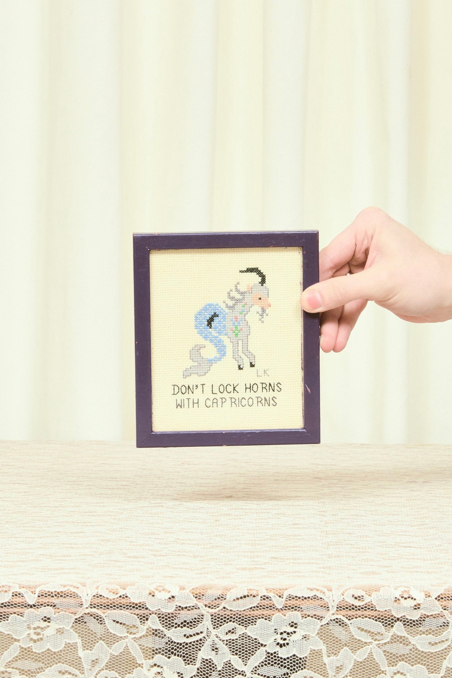 Vintage "Don't Lock Horns with Capricorns" Needlepoint