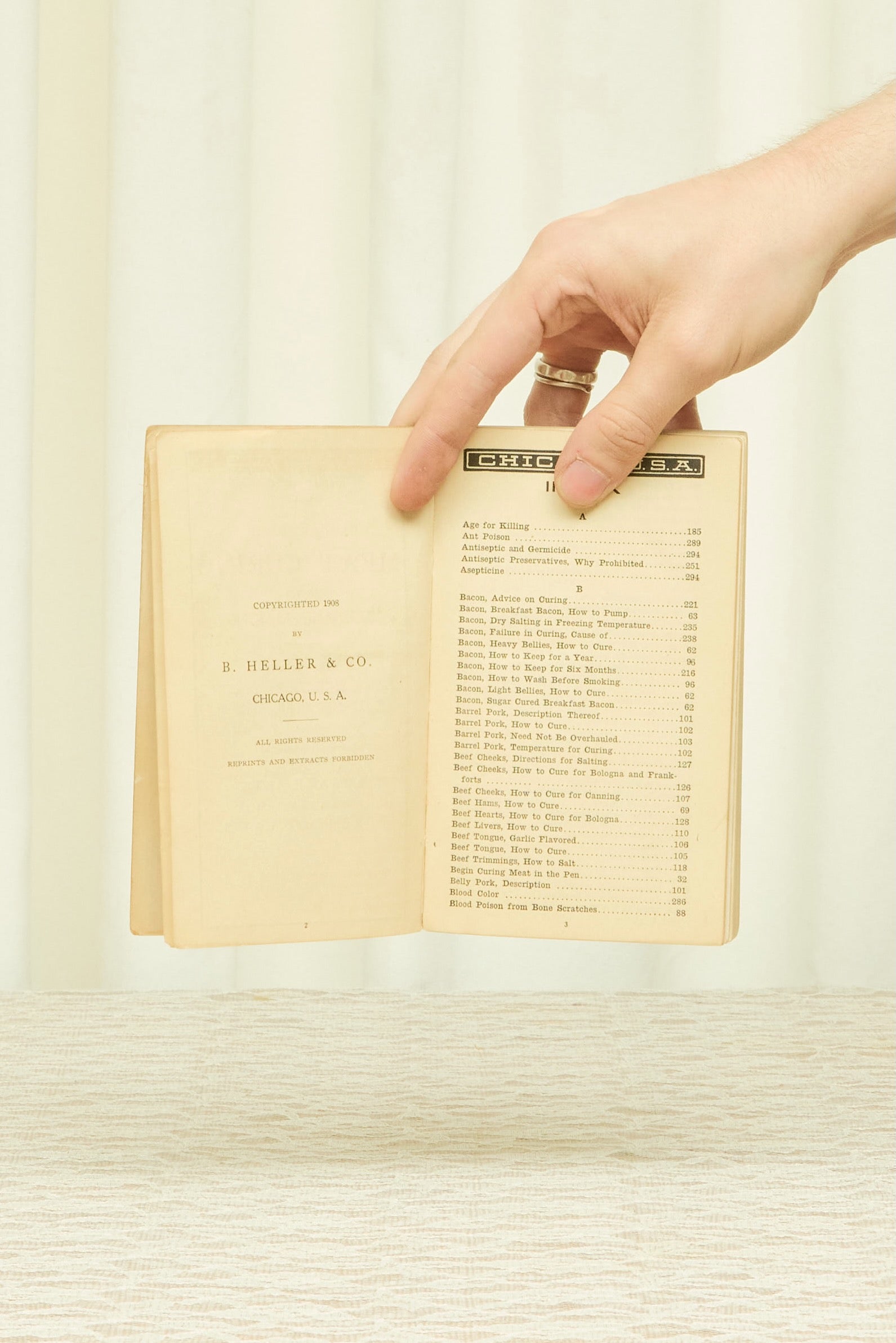 Antique "Sausage Making" Book (1908)
