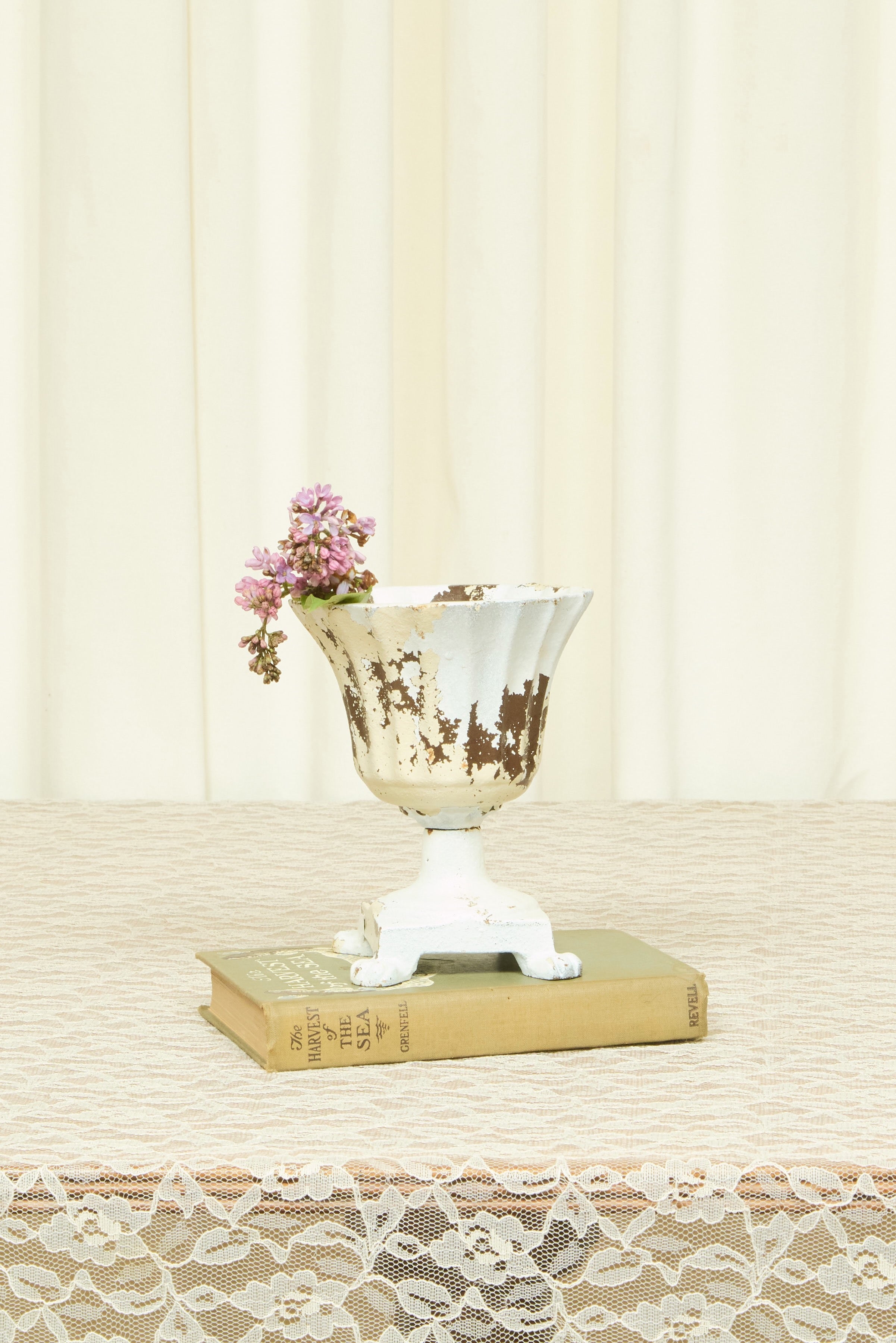 Vintage Chippy Cast Iron Urn