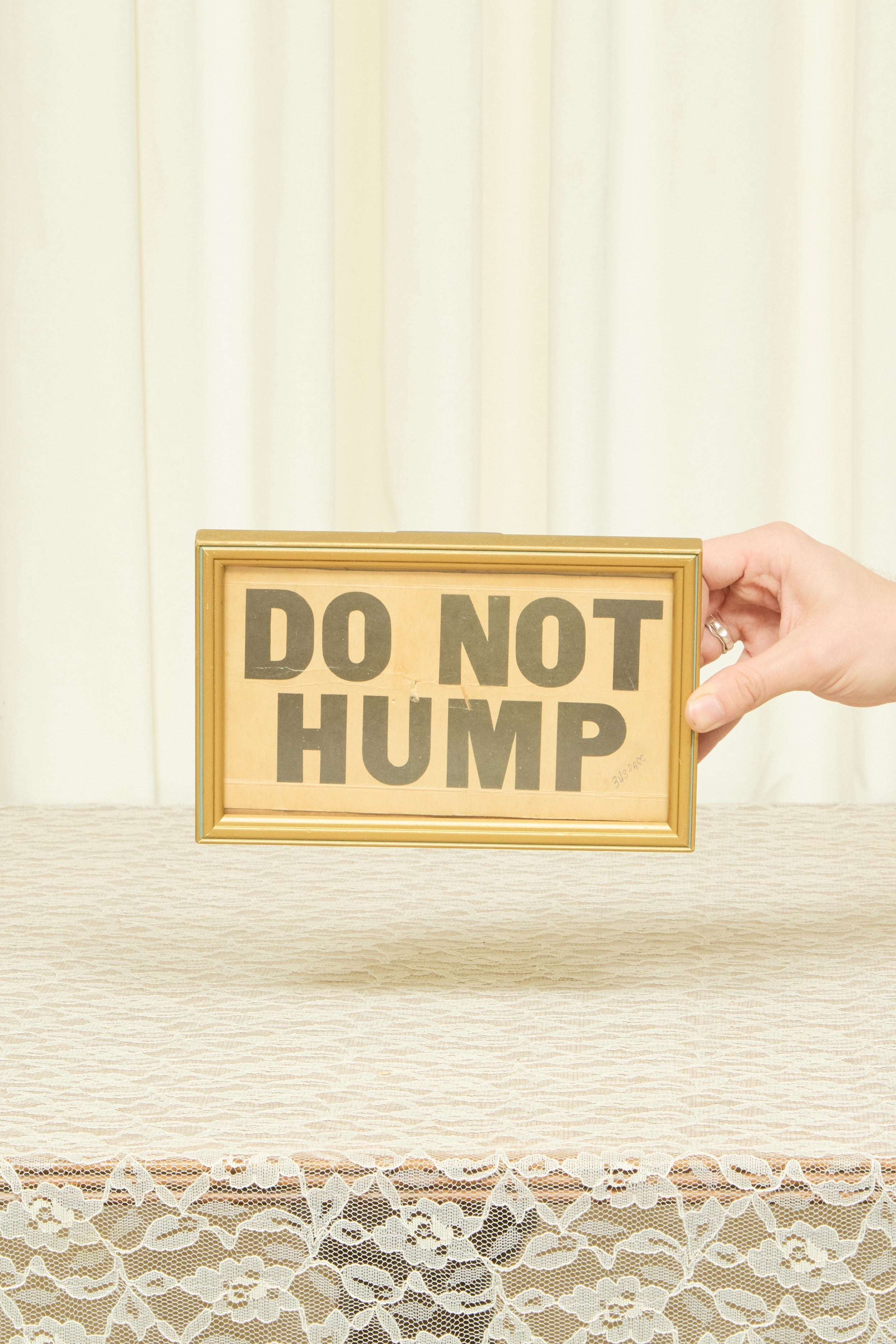 Vintage "Do Not Hump" Framed Sign