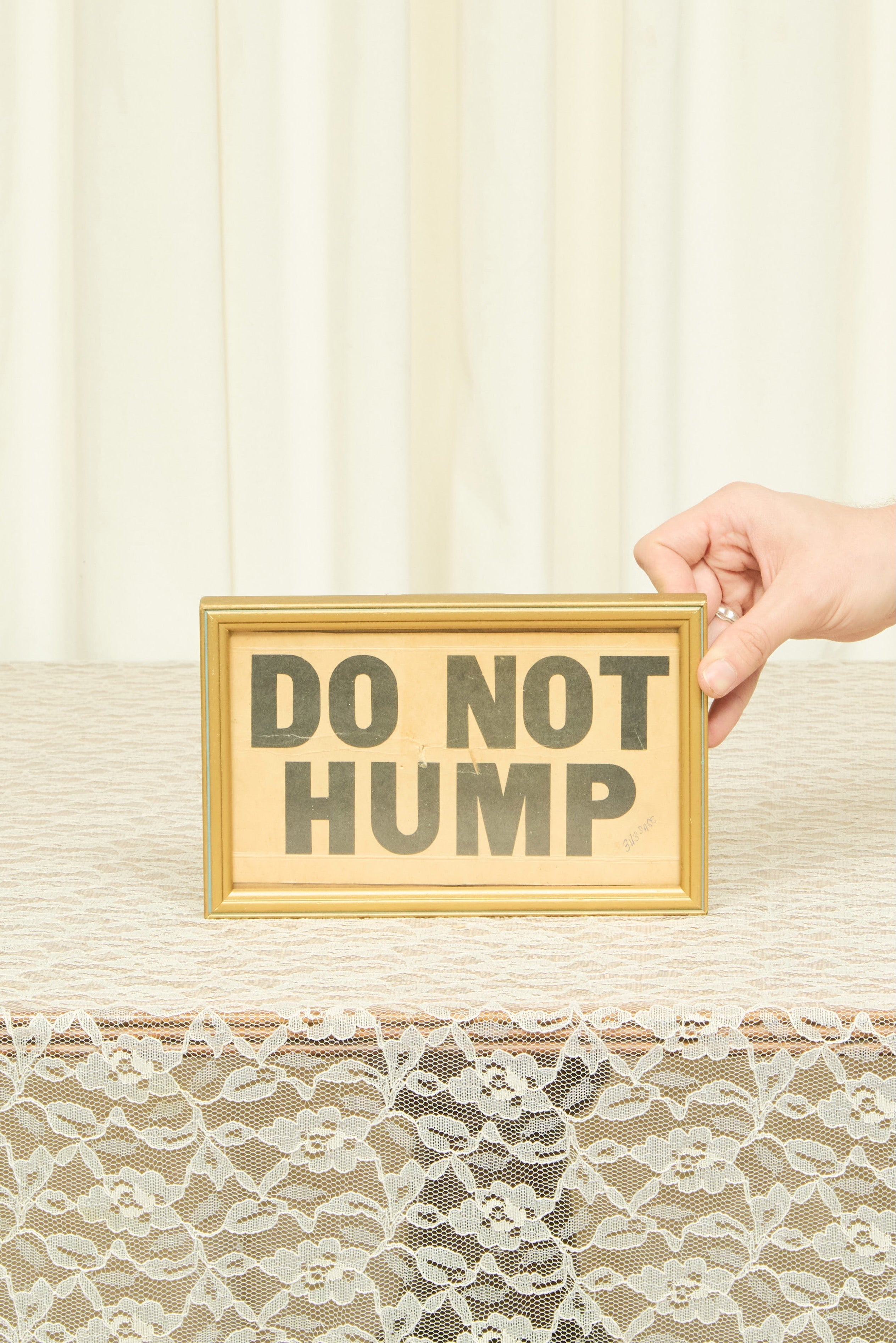 Vintage "Do Not Hump" Framed Sign