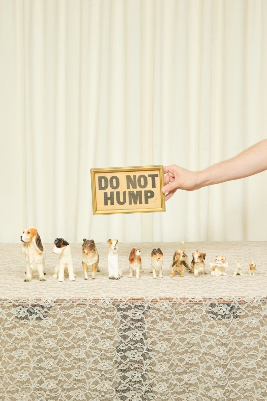 Vintage "Do Not Hump" Framed Sign