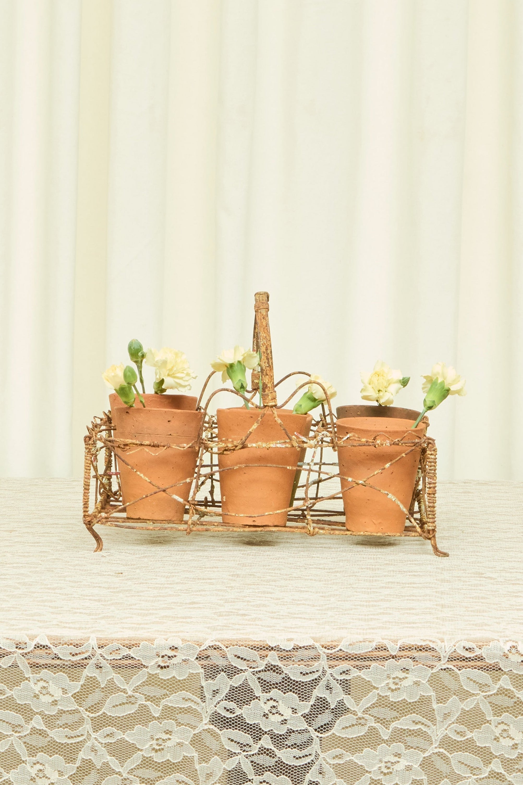 Vintage French Pots with Carrier