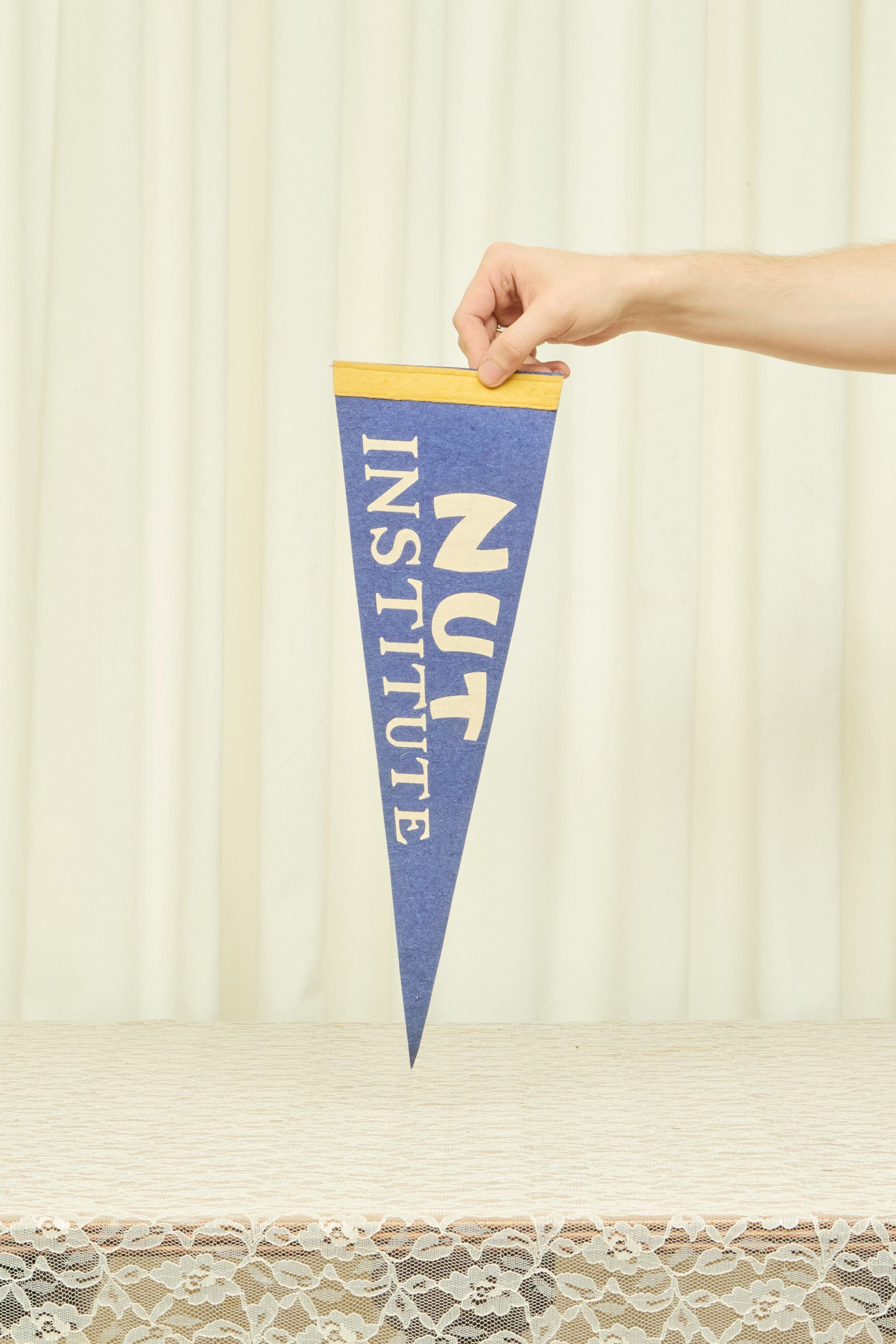 Vintage "Nut Institute" Pennant