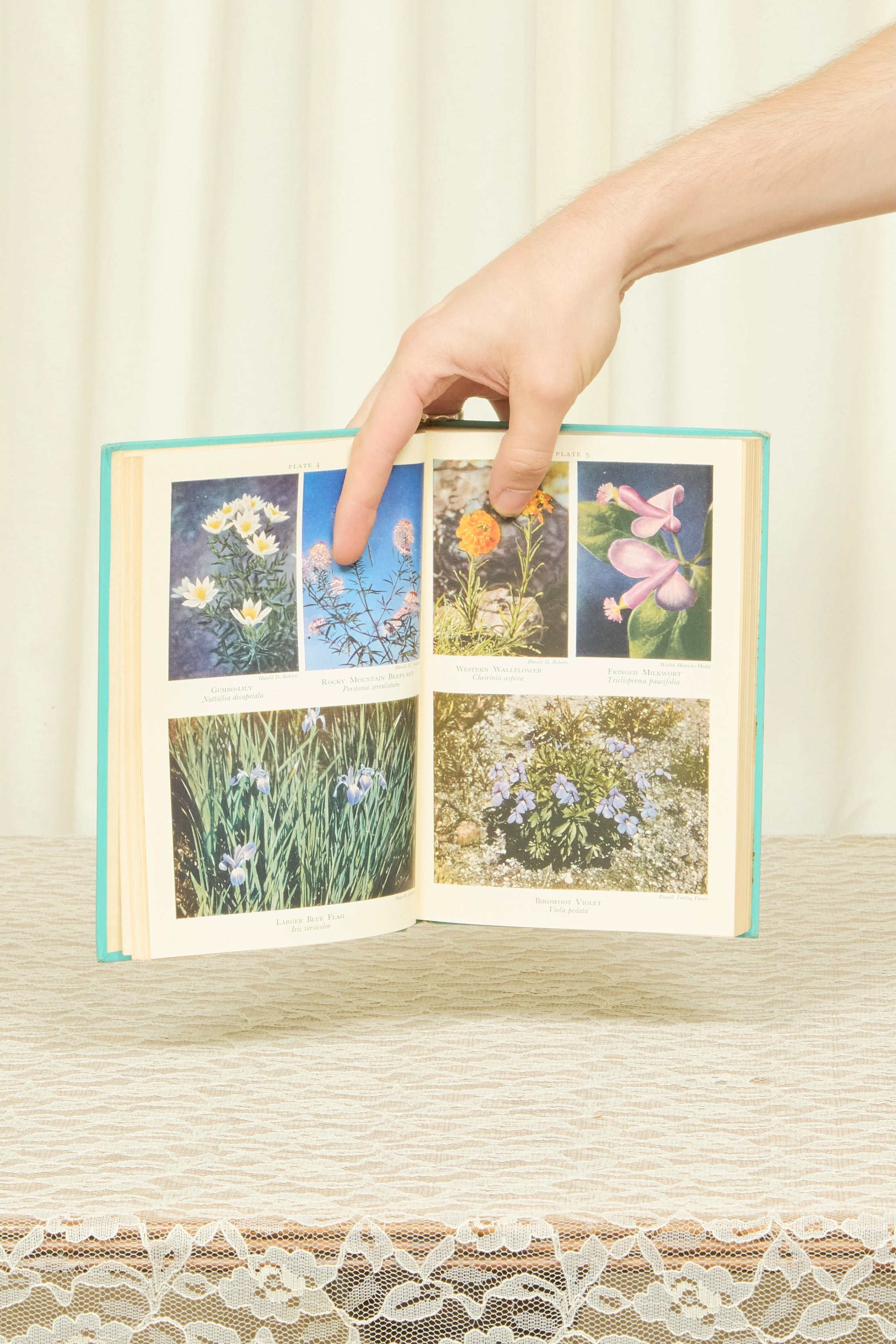 Vintage "Wildflower Gardening" Book (1955)